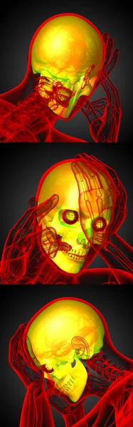 3D vykreslování lékařské ilustrace lidské lebky — Stock fotografie