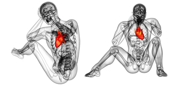 3D-Darstellung der medizinischen Illustration des menschlichen Herzens — Stockfoto