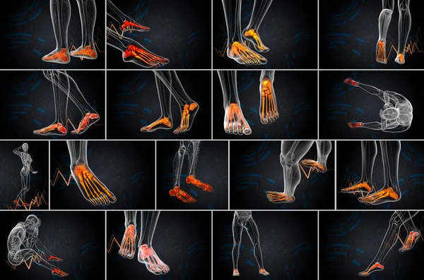 3D rendering medische illustratie van het bot van de voet — Stockfoto