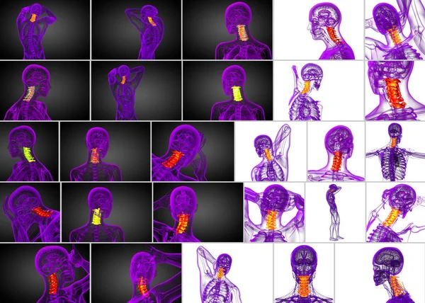 3d representación médica ilustración de la columna cervical —  Fotos de Stock