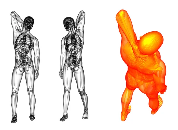 Rendering 3D illustrazione medica dell'essere umano — Foto Stock