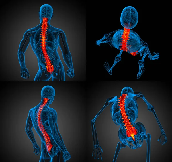 3d renderização ilustração médica da coluna vertebral humana — Fotografia de Stock