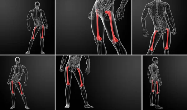3D-Darstellung des Oberschenkelknochens — Stockfoto