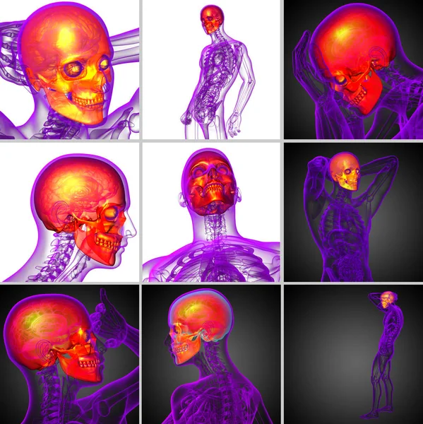 3d renderização ilustração médica do crânio — Fotografia de Stock