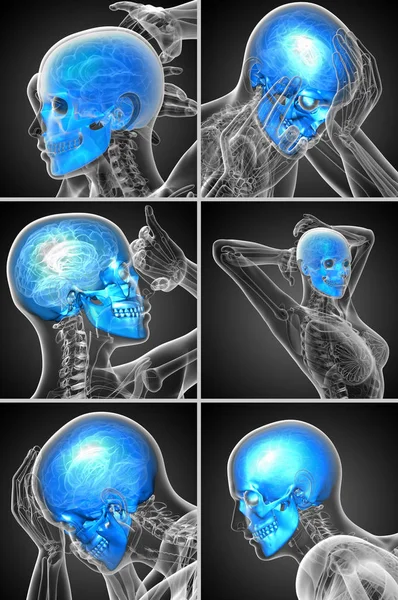 3d Smelting - medisinsk illustrasjon av kraniet – stockfoto