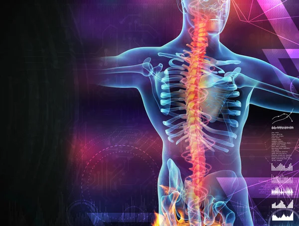 Skeleton of the man with the backbone — Stock Photo, Image