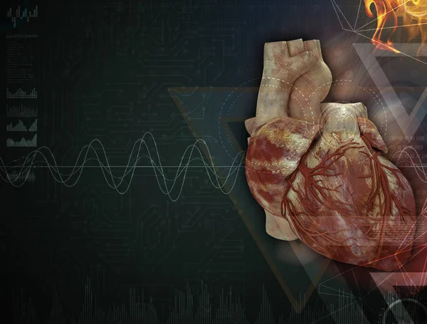 Işlenmiş Medikal illüstrasyon insan kalp — Stok fotoğraf