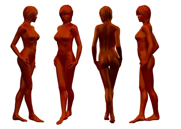 3D renderowania Medycyna ilustracji kobiecej anatomii — Zdjęcie stockowe