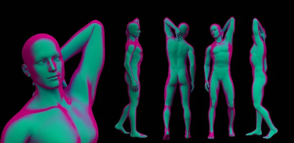 3D-Darstellung der menschlichen Anatomie — Stockfoto