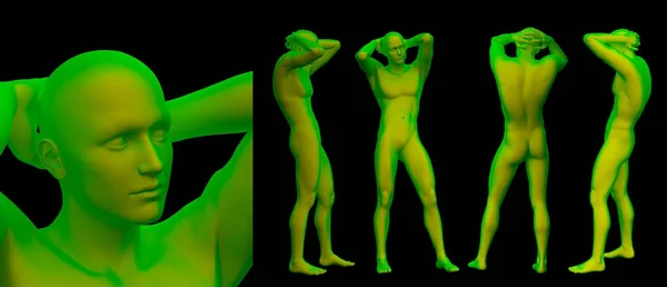3D визуализация анатомии человека — стоковое фото