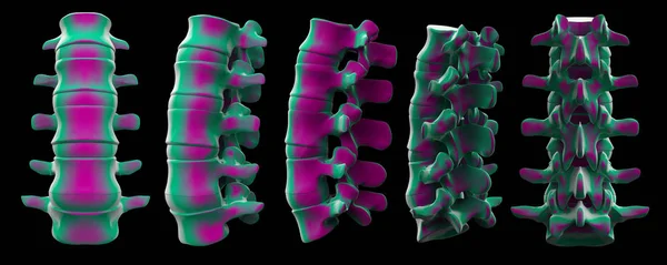 3d rendu de la structure de la colonne vertébrale sur fond noir — Photo