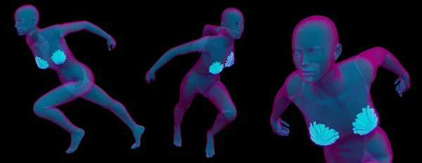 3d визуализация медицинской иллюстрации человеческой груди — стоковое фото