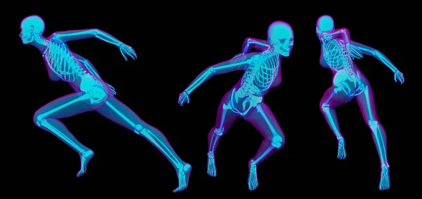 कंकाल का 3 डी रेंडरिंग मेडिकल इलस्ट्रेशन — स्टॉक फ़ोटो, इमेज