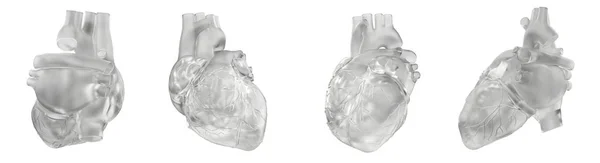 3D rendering illusztráció szív — Stock Fotó