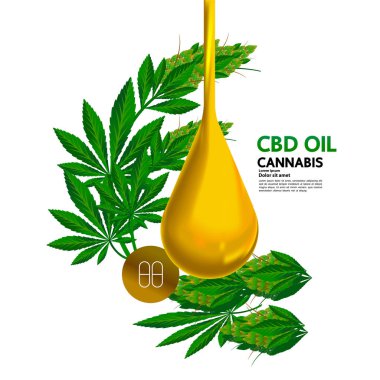 Premium kenevir bitki yaprakları vektör illüstrasyonu.