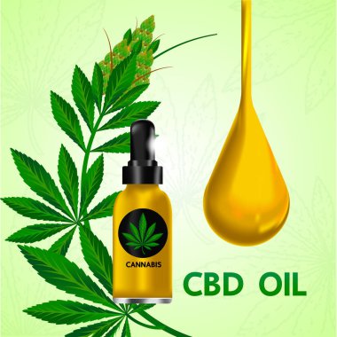 Premium kenevir bitki yaprakları vektör illüstrasyonu.