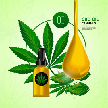 Premium kenevir bitki yaprakları vektör illüstrasyonu.