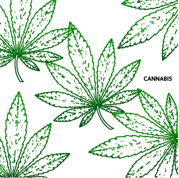 Planta Cannabis Premium Hojas Vector Ilustración — Vector de stock