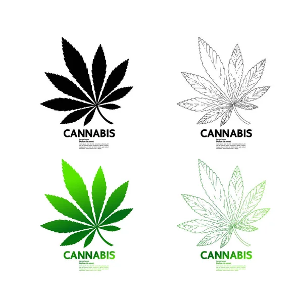 Premium Cannabis Plant Leafs Vector Illustration — Stock Vector