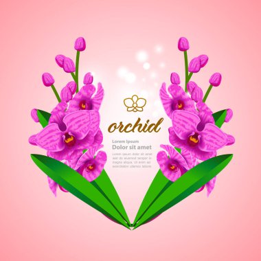Premium grand Orkide tasarım konsept vektör illüstrasyon. 