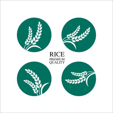 Premium Rice büyük kaliteli tasarım konsept vektör.