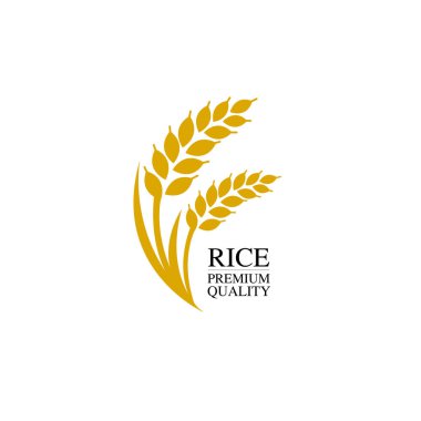 Premium Rice büyük kaliteli tasarım konsept vektör.