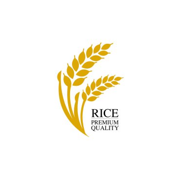 Premium Rice büyük kaliteli tasarım konsept vektör.