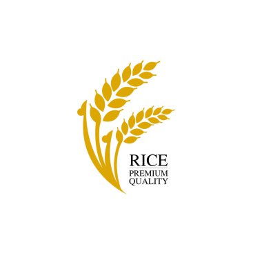 Premium Rice büyük kaliteli tasarım konsept vektör.