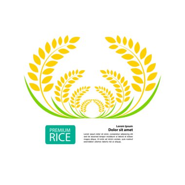 Premium Rice büyük kaliteli tasarım konsept vektör.