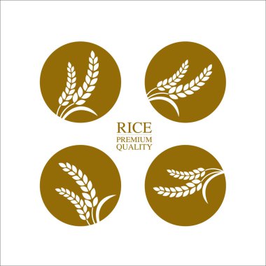 Premium Rice büyük kaliteli tasarım konsept vektör.