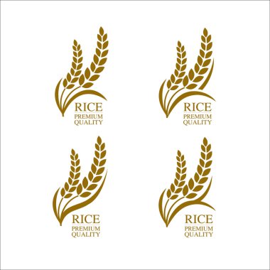 Premium Rice büyük kaliteli tasarım konsept vektör.