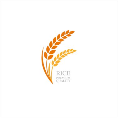 Premium Rice büyük kaliteli tasarım konsept vektör.
