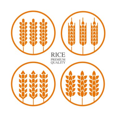 Premium Rice büyük kaliteli tasarım konsept vektör.