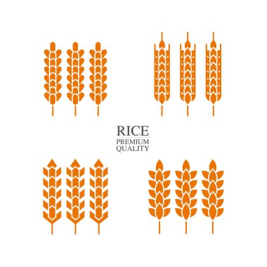 Premium Rice büyük kaliteli tasarım konsept vektör.