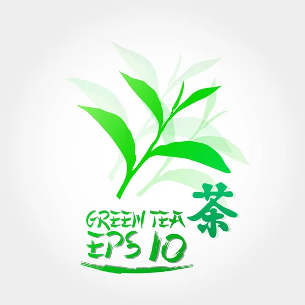 Премиум Зеленый Чай Хорошего Вектора Здоровья — стоковый вектор
