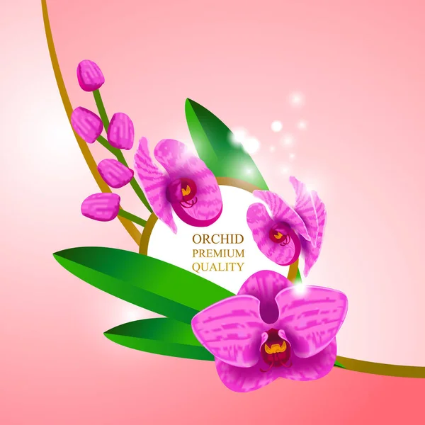 Ilustración Vectores Concepto Diseño Gran Orquídea Premium — Vector de stock