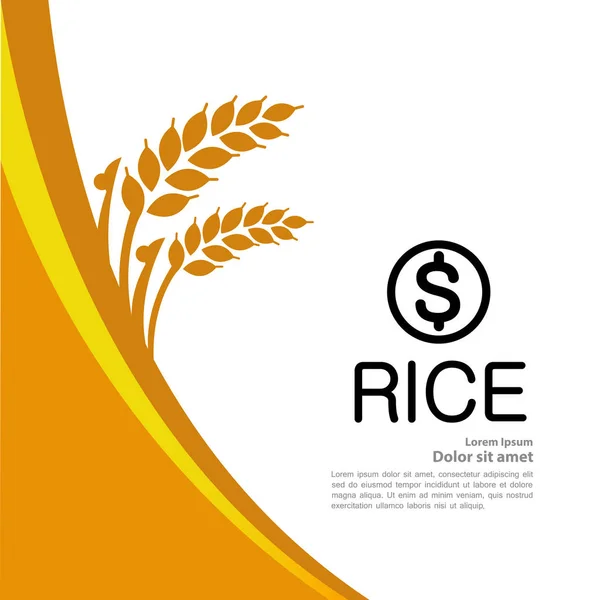 Premium Rice Bra Kvalitet Design Concept Vector — Stock vektor