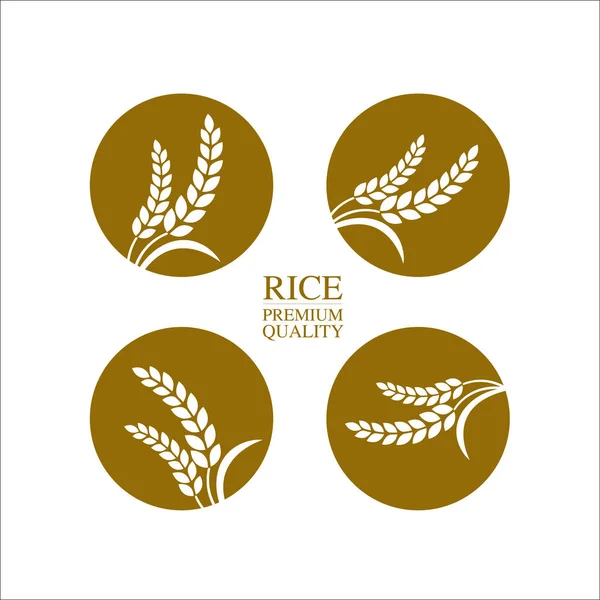 Premium Rice Vettore Del Concetto Design Grande Qualità — Vettoriale Stock