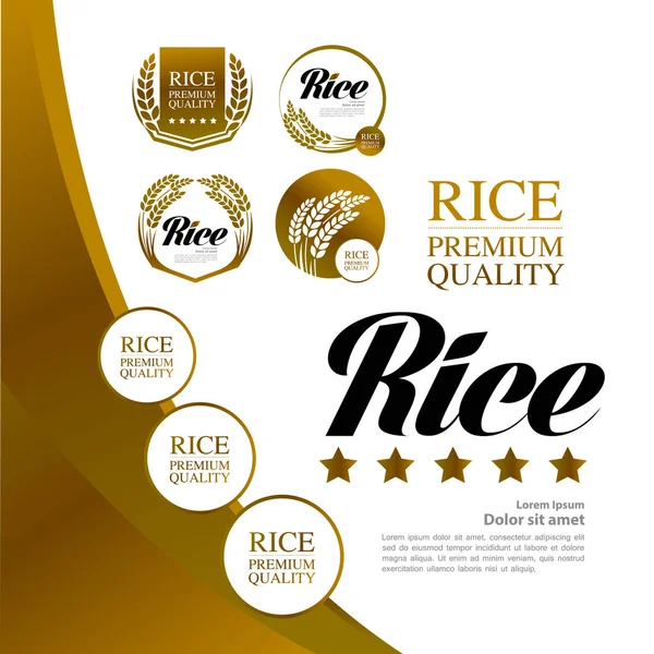Premium Rice Great Quality Design Concept Vector — Stock Vector