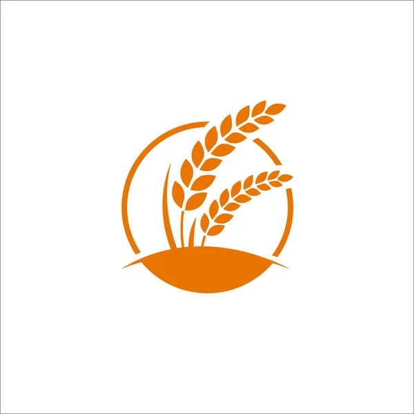 Premium Rice Kiváló Minőségű Tervezési Koncepció Vektor — Stock Vector