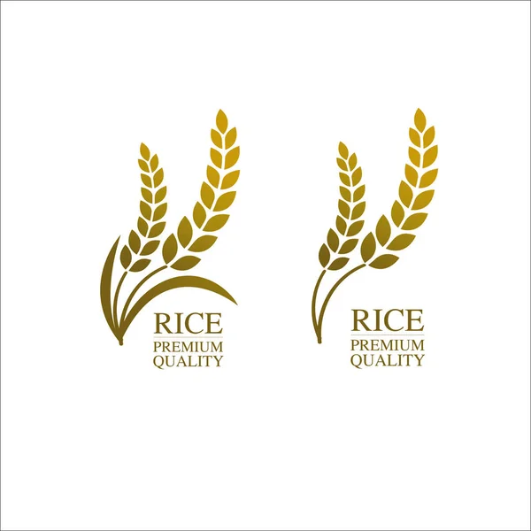 Premium Rice Büyük Kaliteli Tasarım Konsept Vektör — Stok Vektör