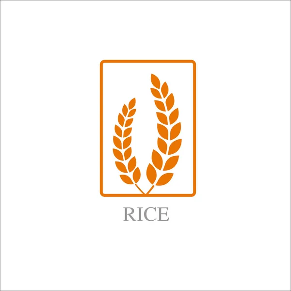 Premium Rice Vettore Del Concetto Design Grande Qualità — Vettoriale Stock