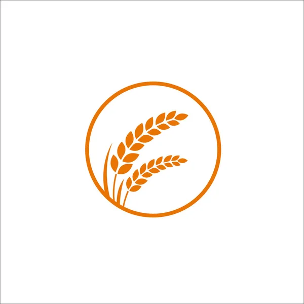 Premium Rice Kiváló Minőségű Tervezési Koncepció Vektor — Stock Vector