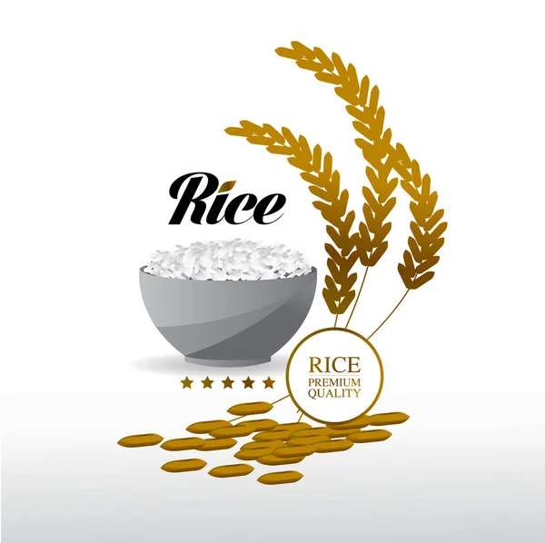 Premium Rice Büyük Kaliteli Tasarım Konsept Vektör — Stok Vektör