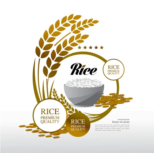 Premium Rice Kiváló Minőségű Tervezési Koncepció Vektor — Stock Vector
