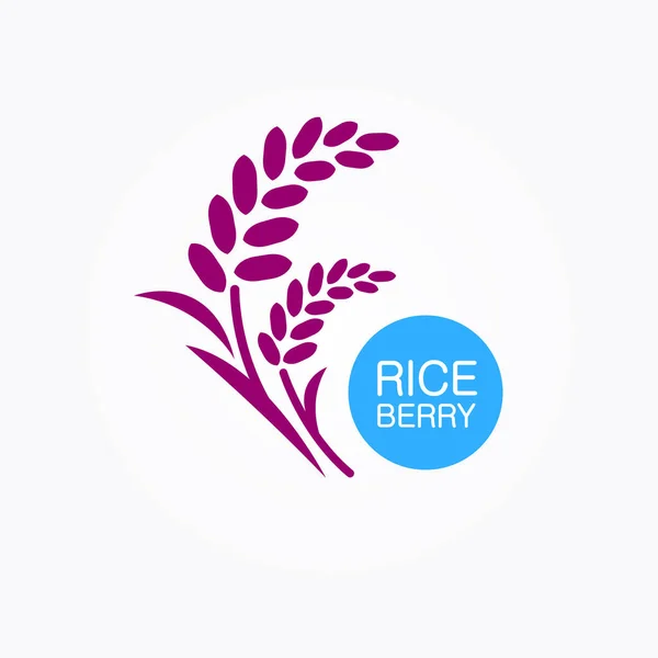 Premium Rice Berry Vettore Design Grande Qualità — Vettoriale Stock