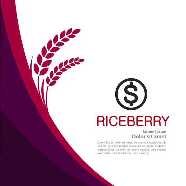 Premium Rice Berry Great Quality Design Concept Vector — Stock Vector