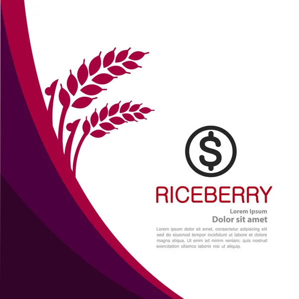 Premium Rice Berry Grande Vetor Conceito Design Qualidade — Vetor de Stock