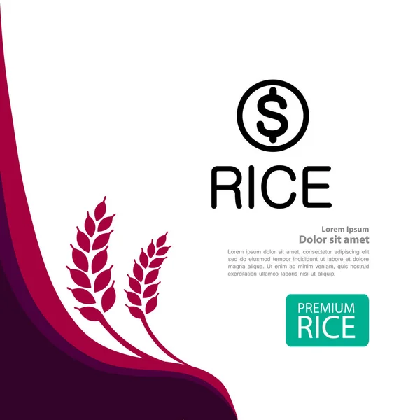 Premium Rice Berry Bra Kvalitet Design Concept Vector — Stock vektor