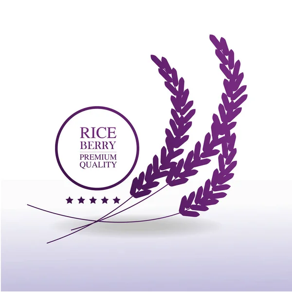 Premium Rice Berry Grande Vetor Conceito Design Qualidade — Vetor de Stock